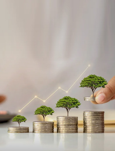 Institusi Pelaburan Antarabangsa