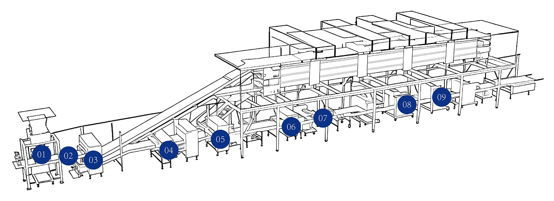 披萨成型生产线结构