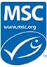 MSC