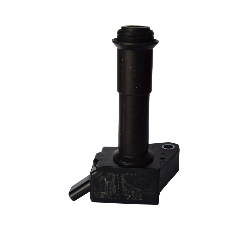 DQ-2431 Ignition Coils Pen