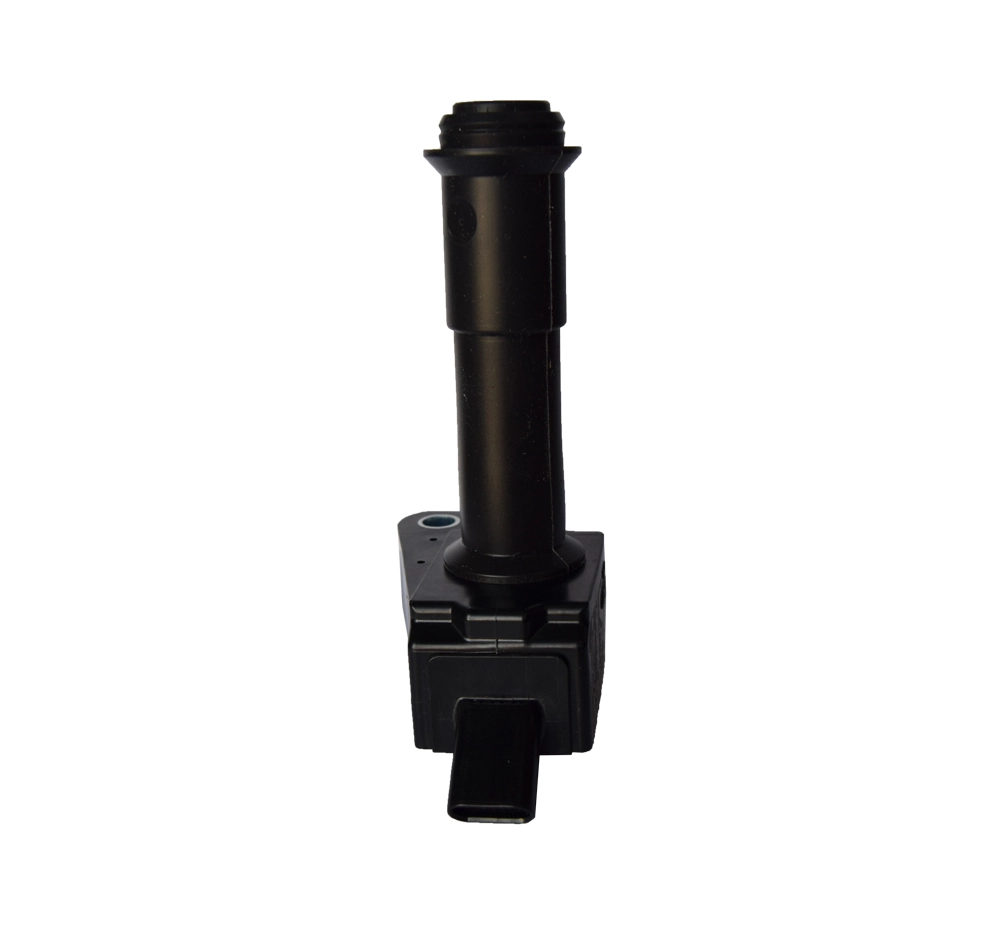 DQ-2431 Ignition Coils Pen