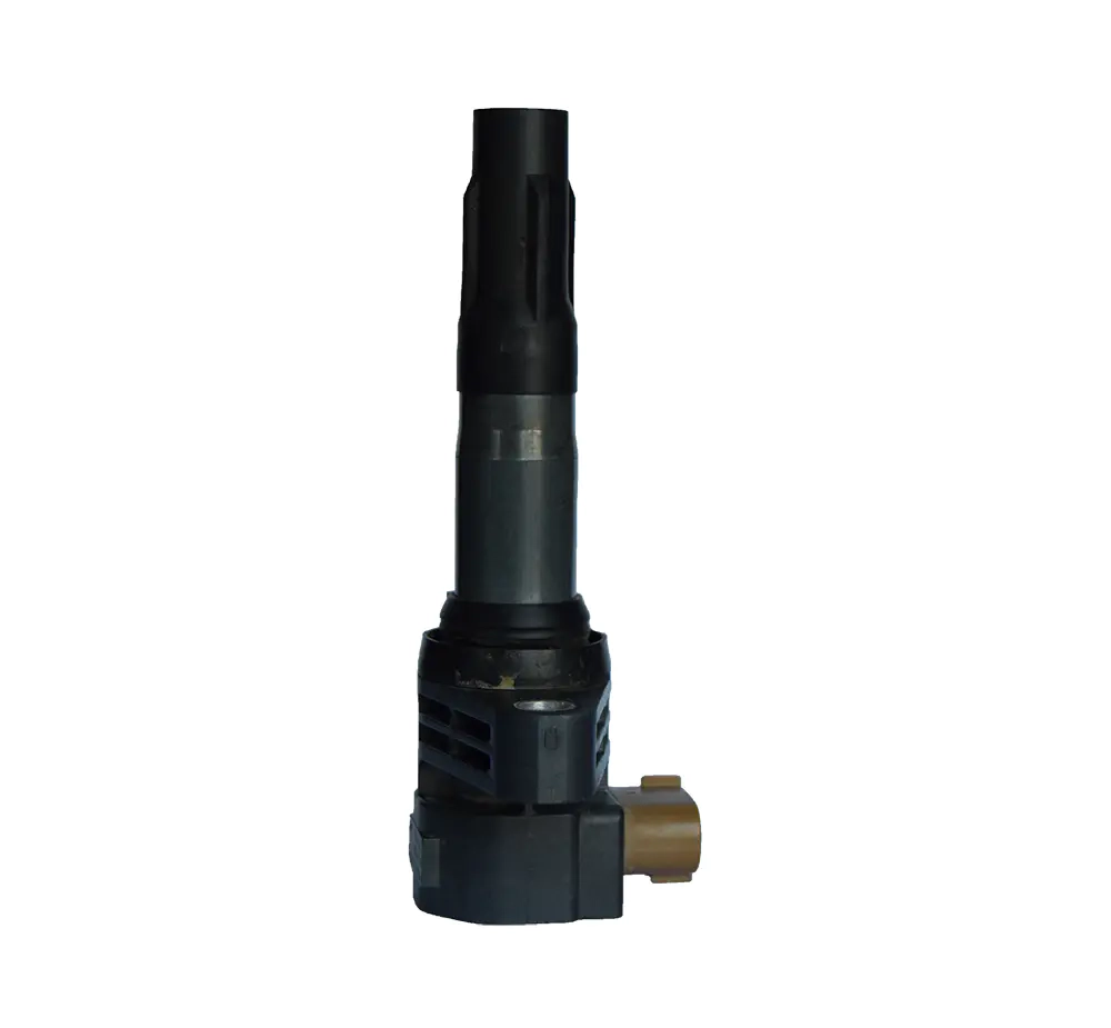 DQ-2421 Ignition Coils Pen