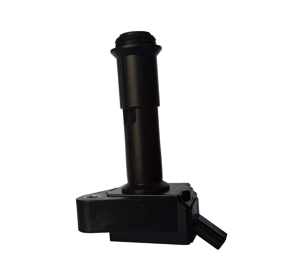 DQ-2431 Ignition Coils Pen