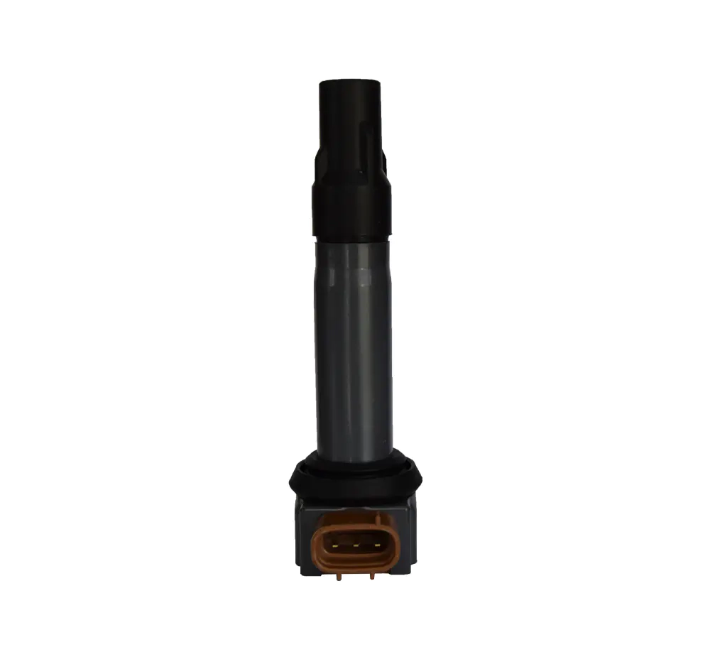 DQ-2419 Ignition Coils Pen