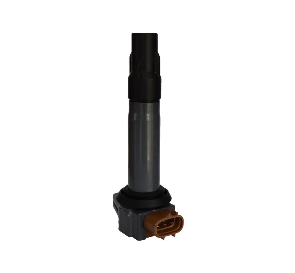 DQ-2419 Ignition Coils Pen