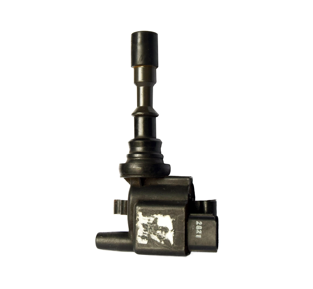 DQ-2430 Ignition Coils Pen