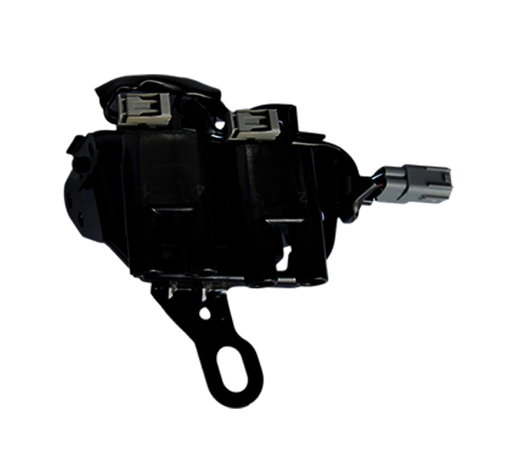 DQ-6159 Multi-point Ignition coils
