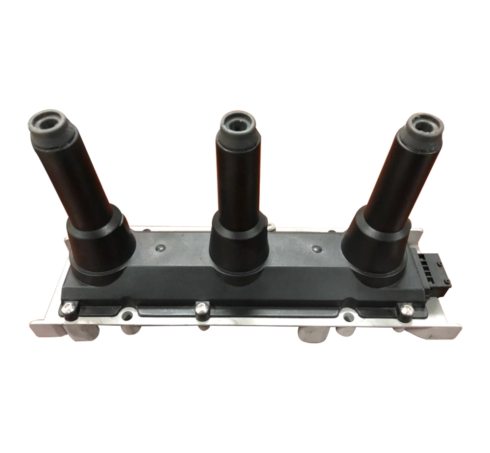 DQ-6160 Multi-point Ignition coils