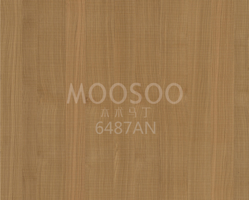 6487AN