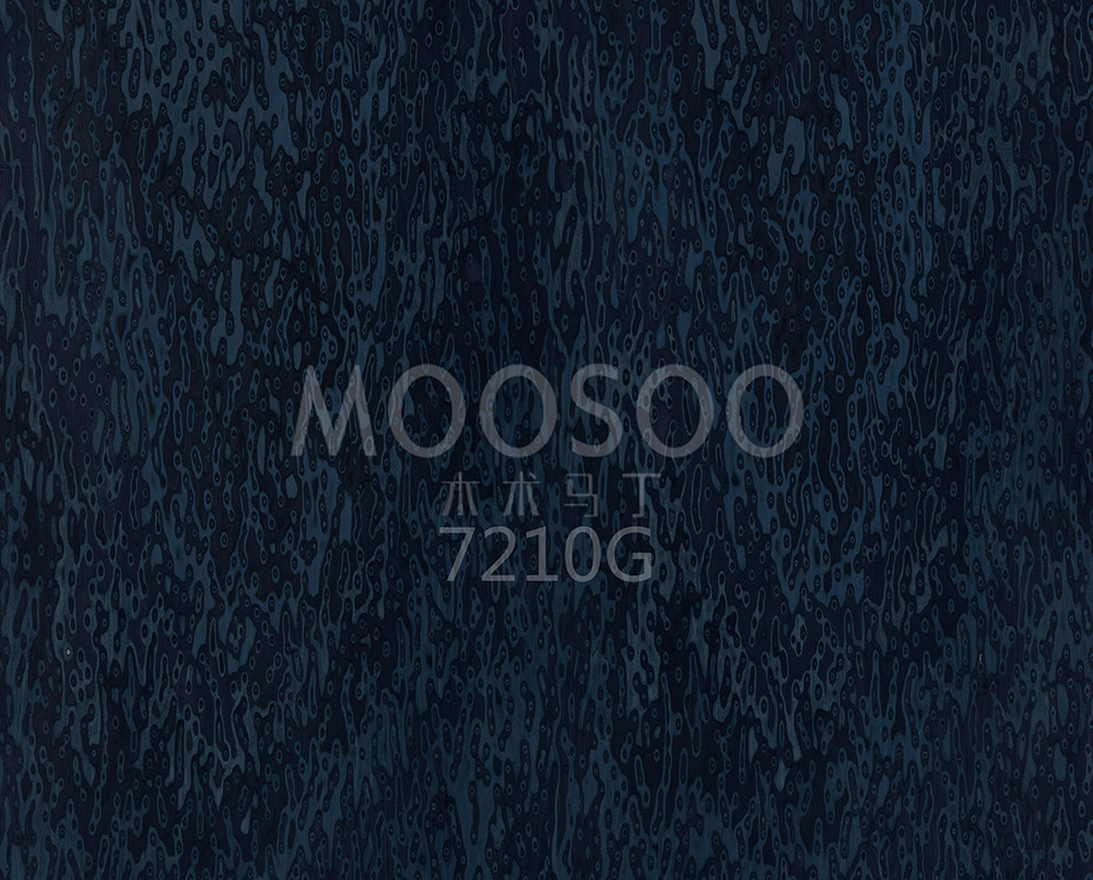 7210G