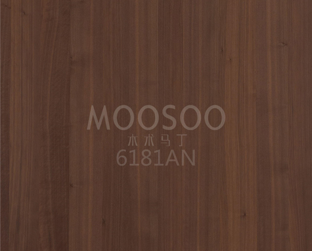 6181AN