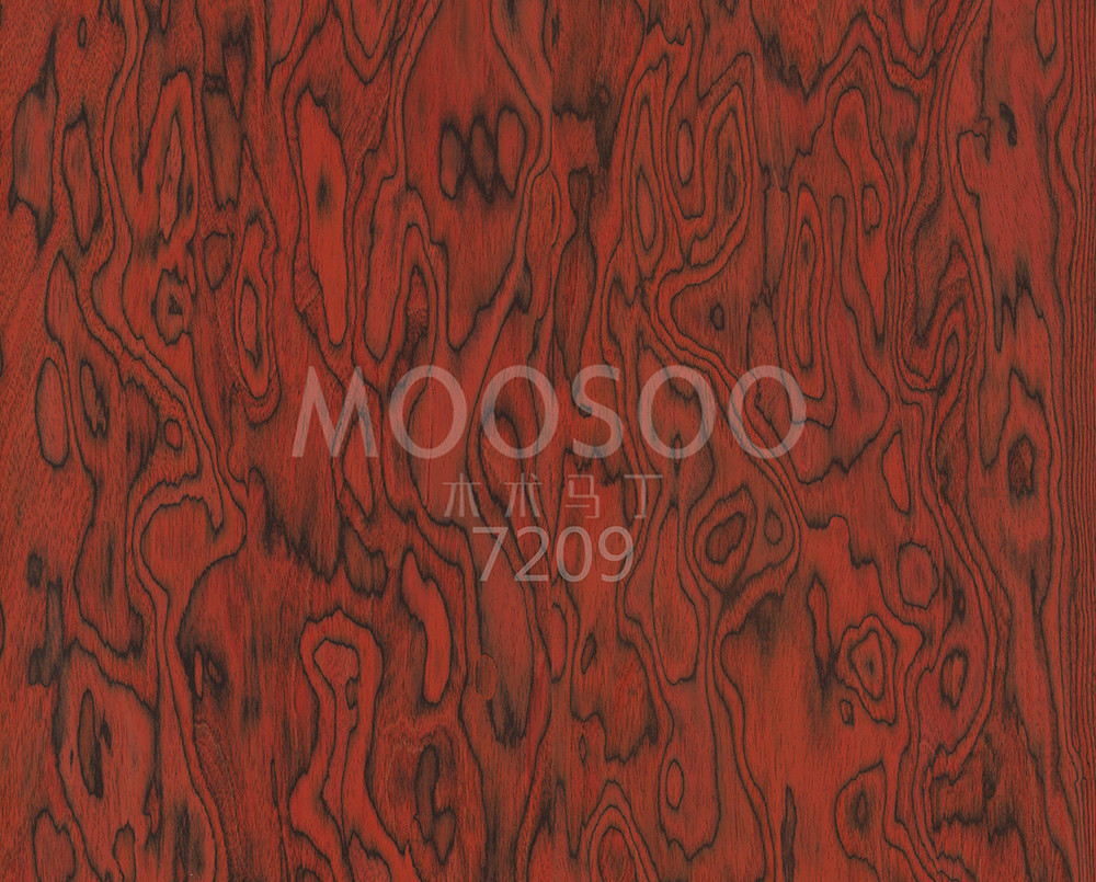 7209