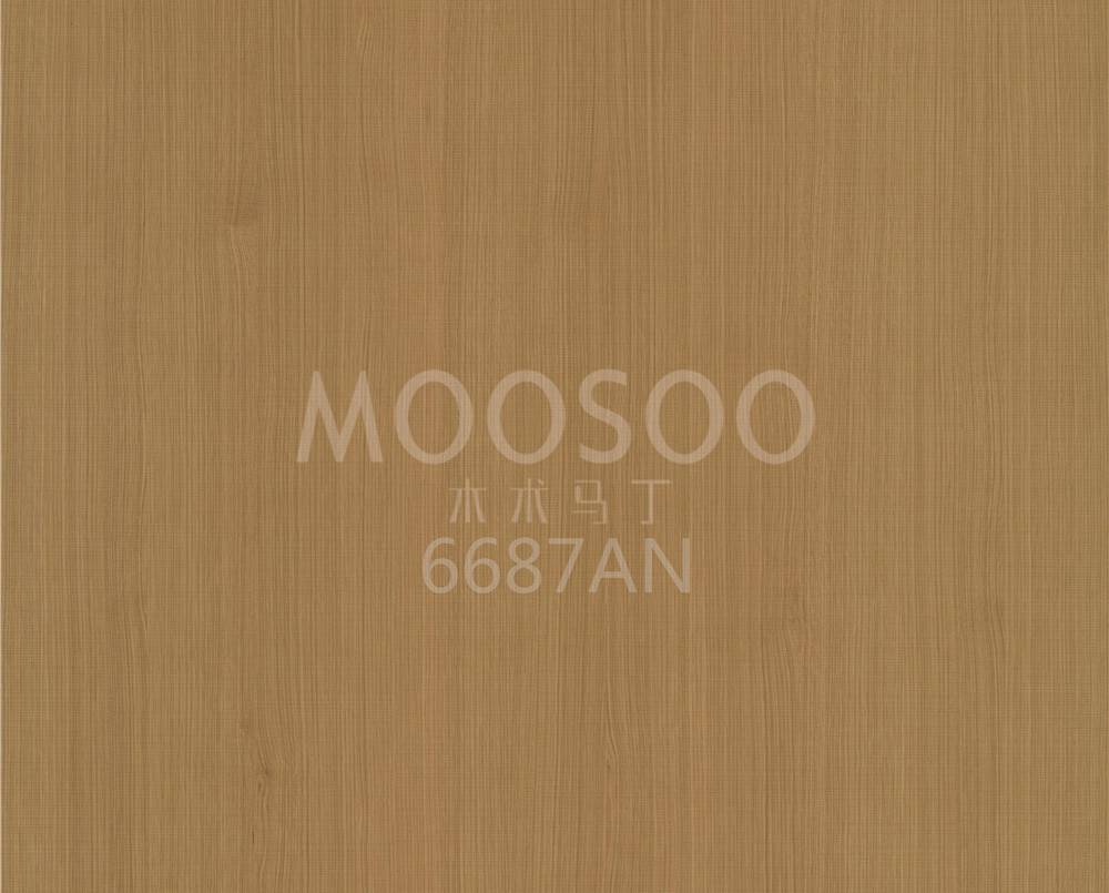 6687AN