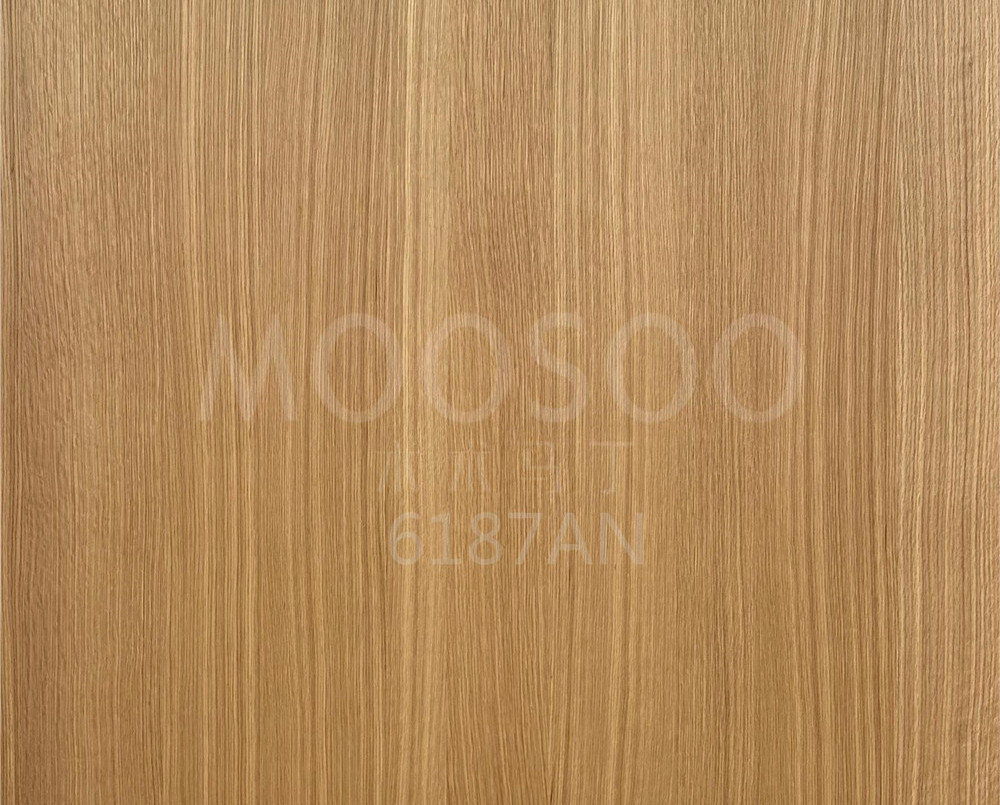 6187AN