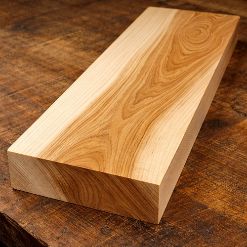 White Elm Hardwood Explained: From Forest to Finished Board