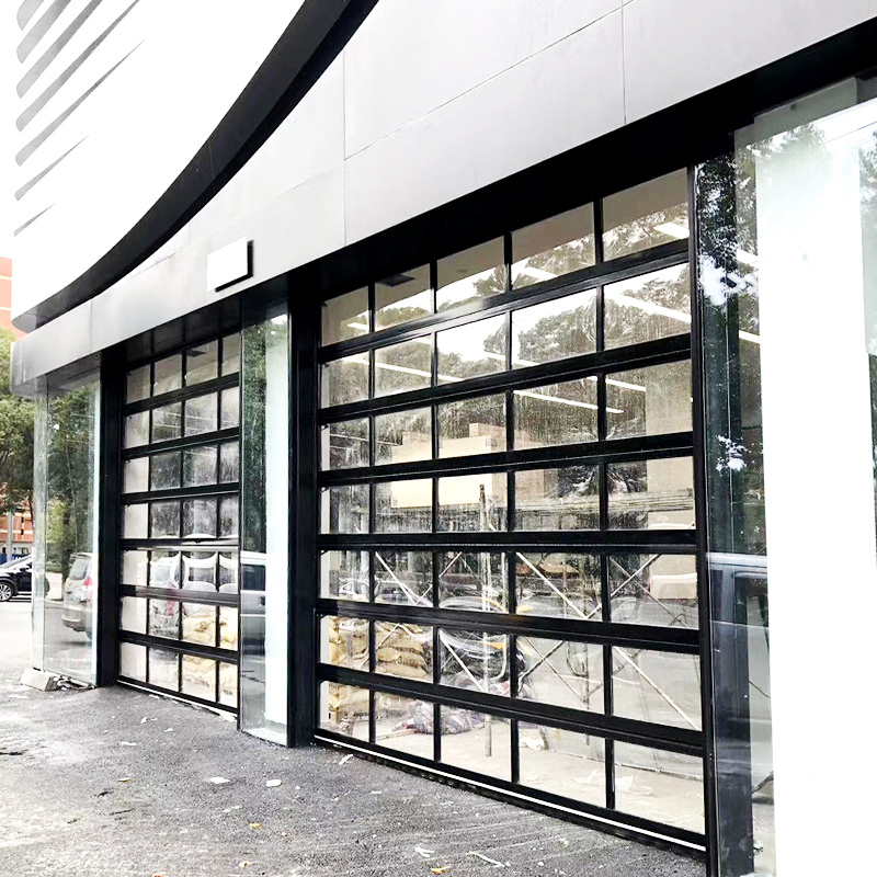 QT-10 Full View Transparent Sectional Door