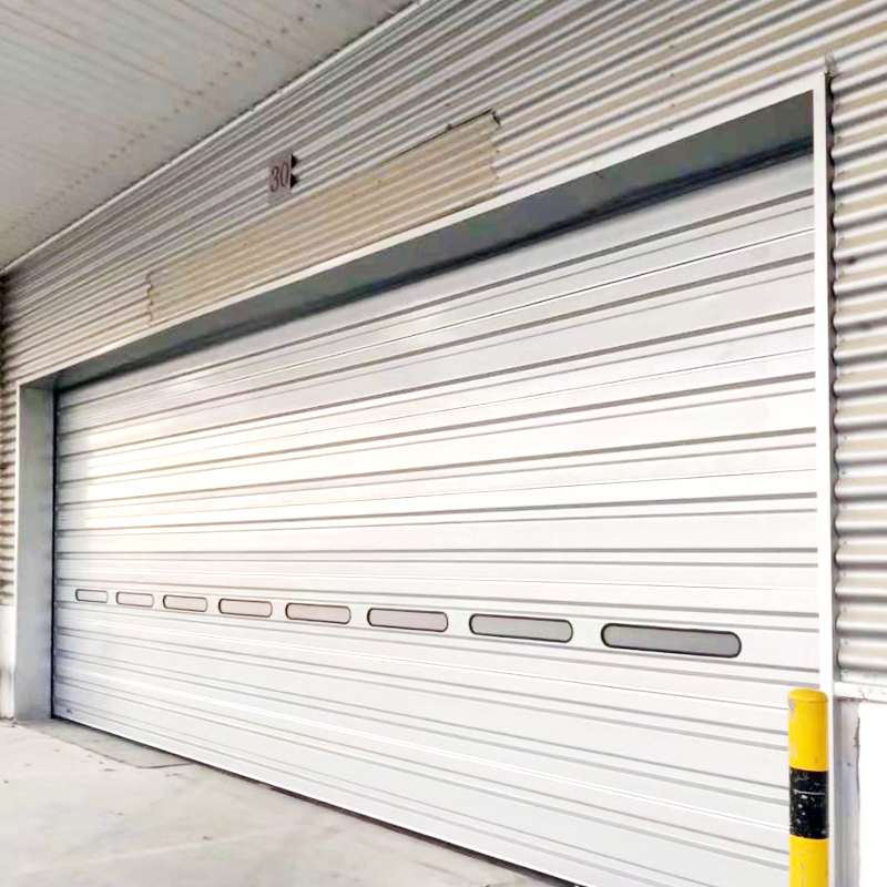 QT-2 Singel Sheet Panel Sectional Door