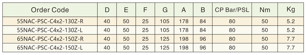 Nakamura-Tome-NAC-3